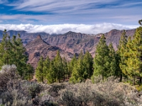 Mirador Roque Nublo